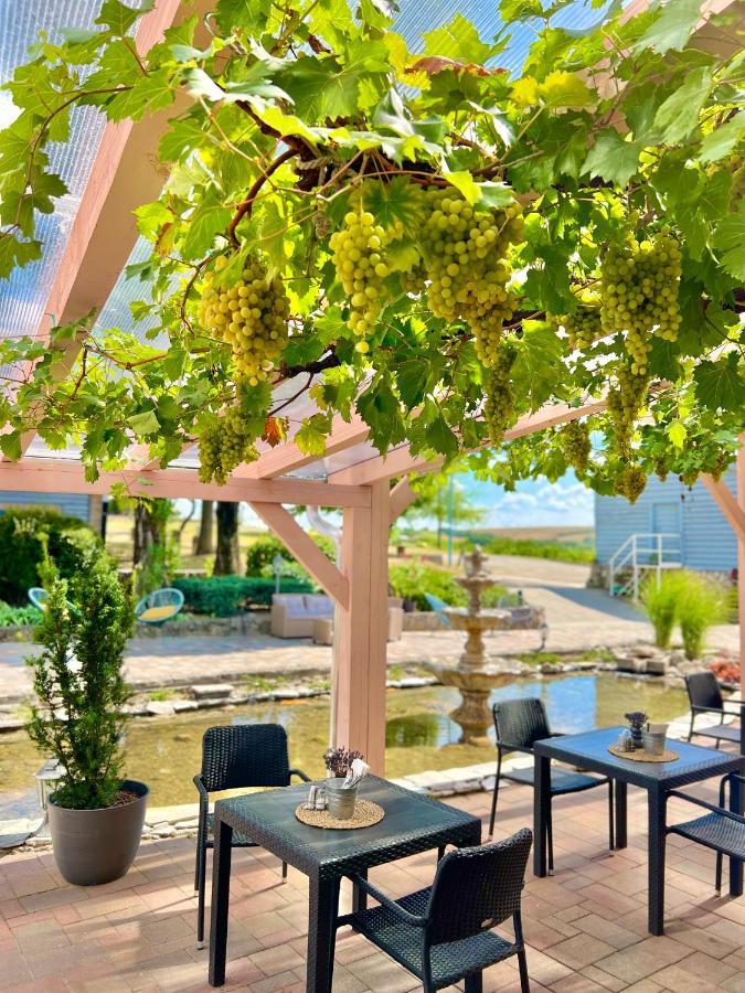Hilltop Borbirtok & Etterem Hotel Neszmely Luaran gambar