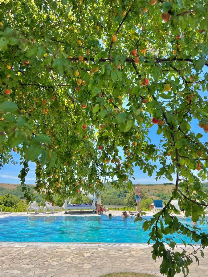 Hilltop Borbirtok & Etterem Hotel Neszmely Luaran gambar