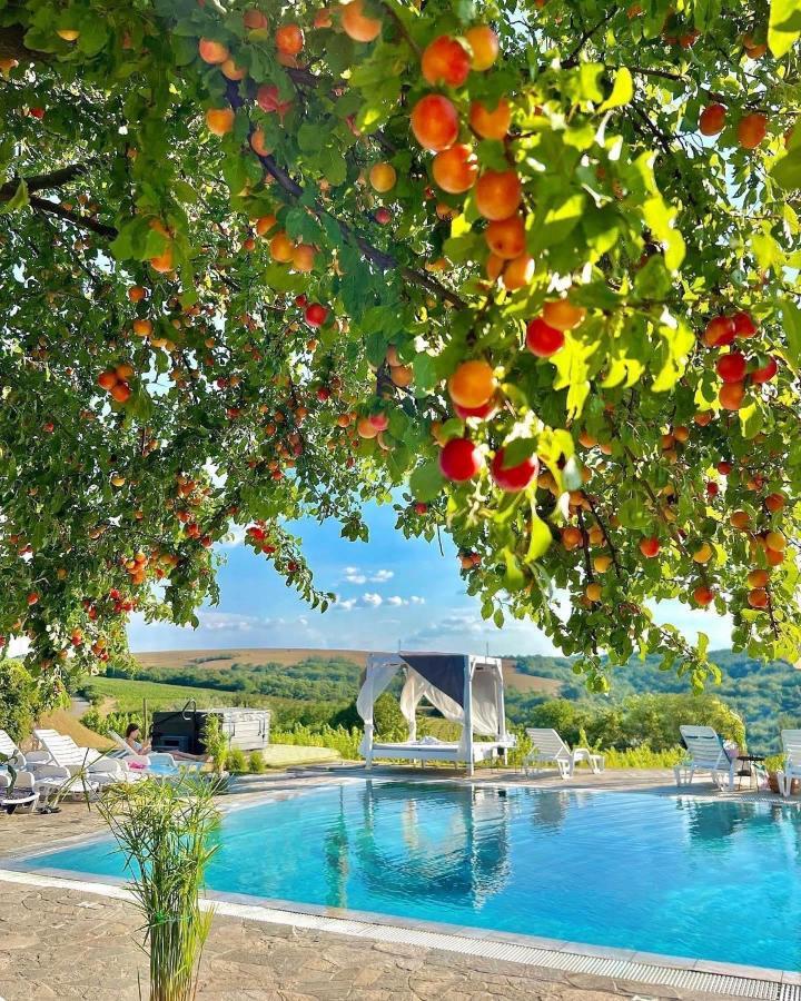 Hilltop Borbirtok & Etterem Hotel Neszmely Luaran gambar