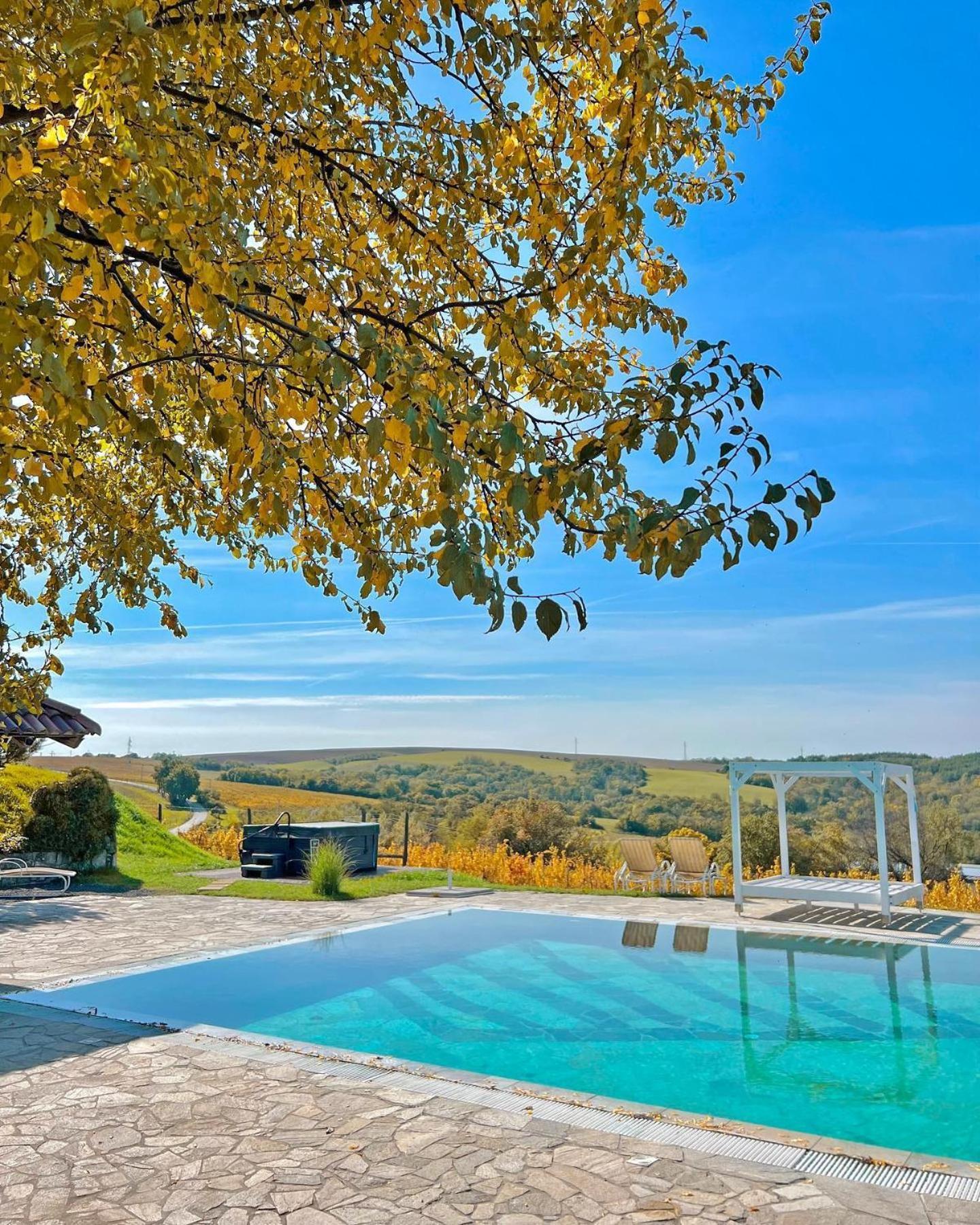 Hilltop Borbirtok & Etterem Hotel Neszmely Luaran gambar